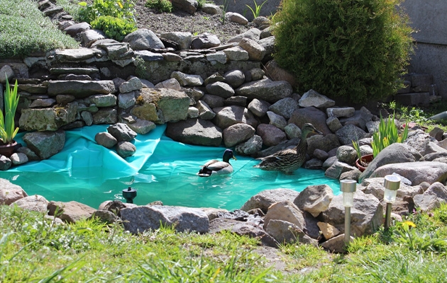 Oczko wodne, kaskada, wodospady i wodogrzmoty w naszym ogrodzie.