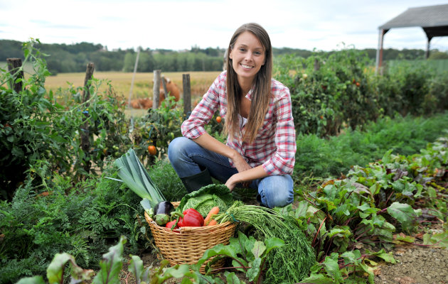 Warzywnik w ogrodzie