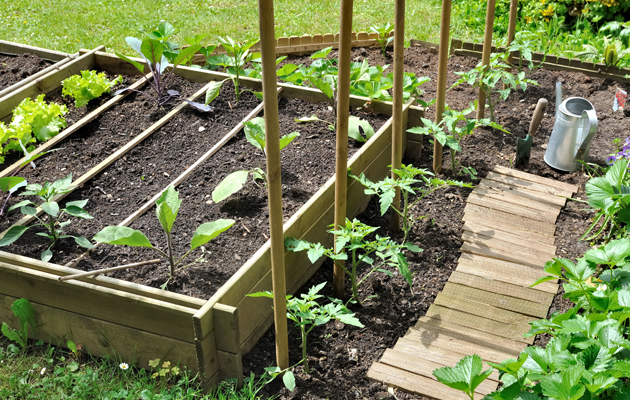 Podwyższone grządki – wygodne i efektowne