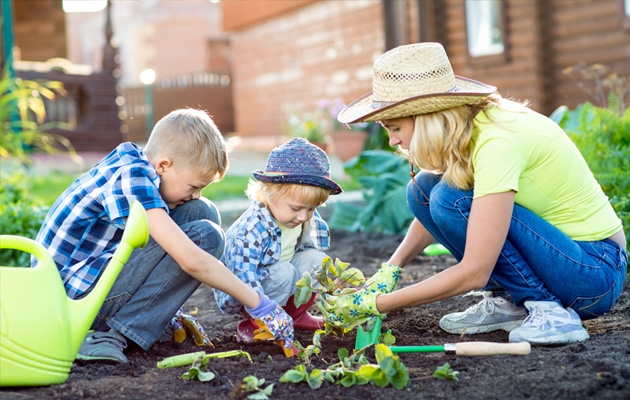 Projektowanie i zakładanie ogrodu cz. II