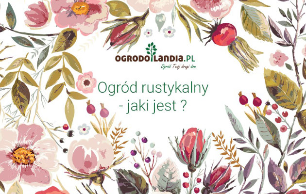 Ogród rustykalny – czyli jaki ?