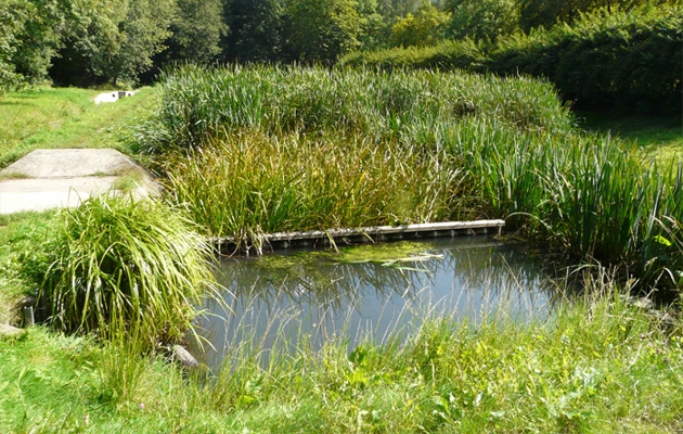 Czym jest oczyszczalnia ogrodowa?