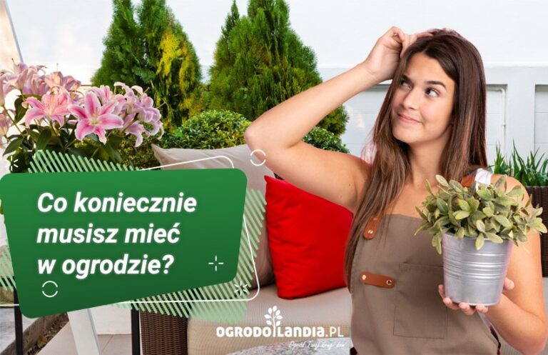 Co koniecznie musisz mieć w ogrodzie? Zacznijmy od początku
