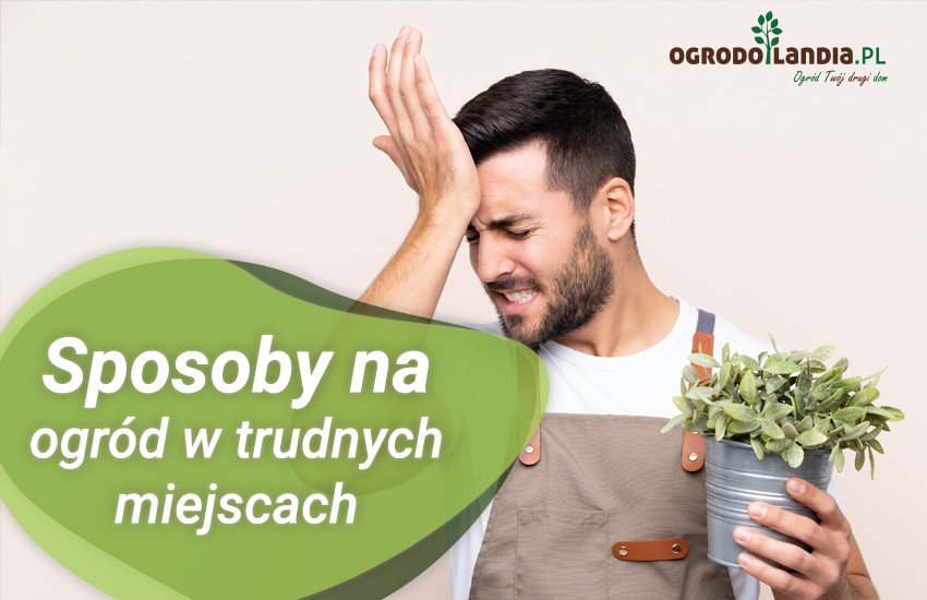 Uprawa ogrodu w trudnych warunkach
