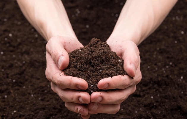 Przygotowanie gleby pod nasadzenia czyli zawstydzamy sąsiada buszem w ogrodzie