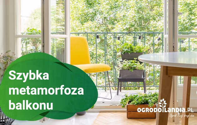 Metamorfoza balkonu 2020!