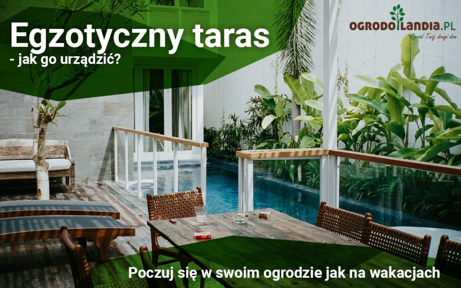Egzotyczny taras - jak go urządzić? Poczuj się w swoim ogrodzie jak na wakacjach