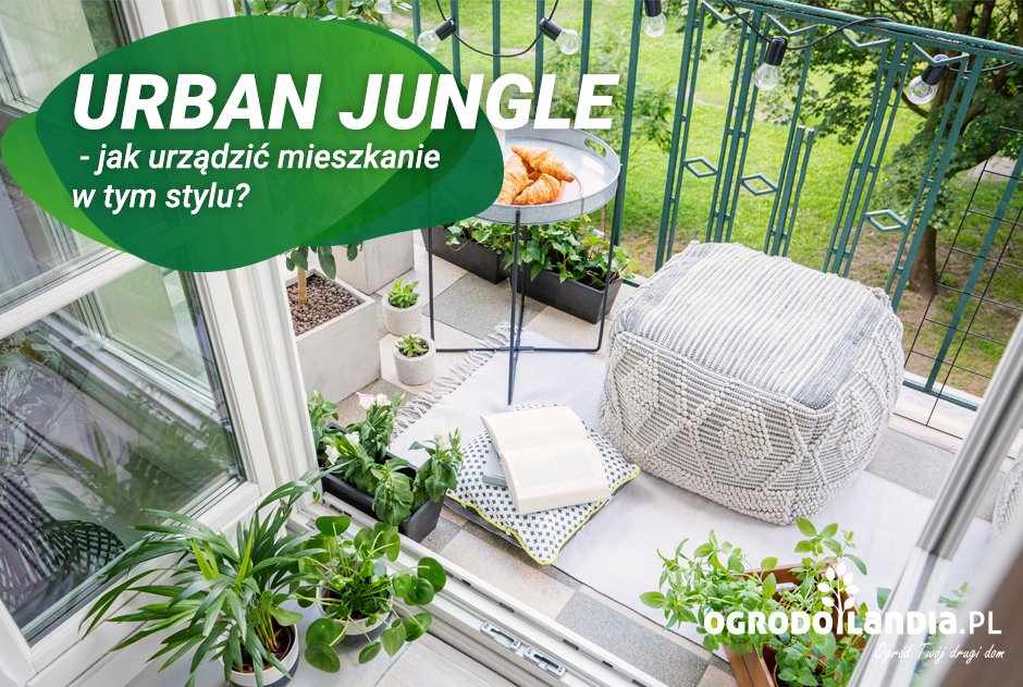 Urban Jungle - jak urządzić mieszkanie w stylu miejskiej dżungli?