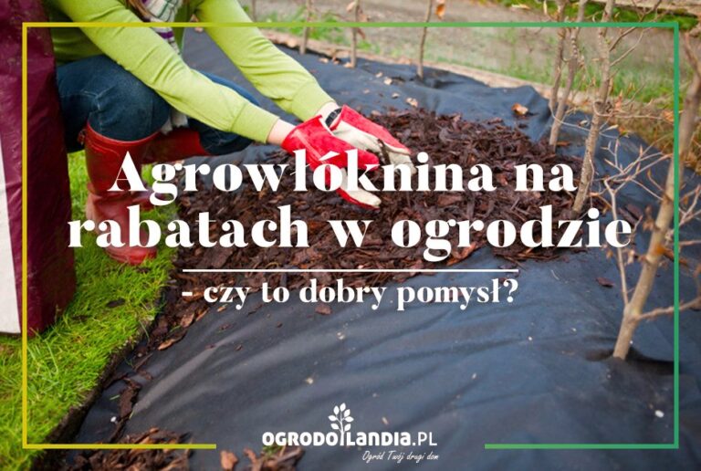 Trendy w ogrodzie a agrowłóknina