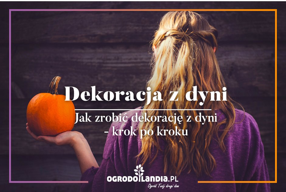 Dekoracja w dyni - trendy we wnętrzach