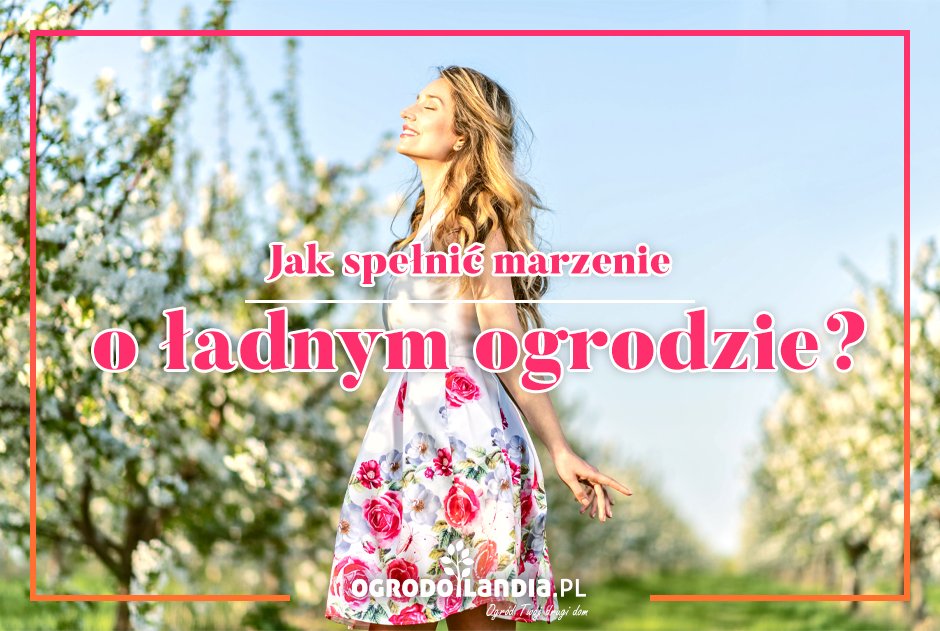 Ładny ogród - co zrobić, żeby ogrod zawsze wyglądał ładnie?