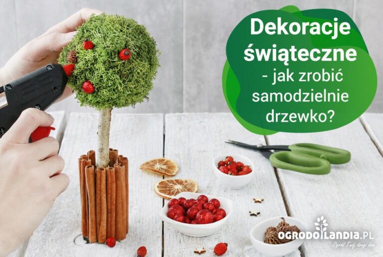 Ozdoby świąteczne obowiązkowe w grudniu