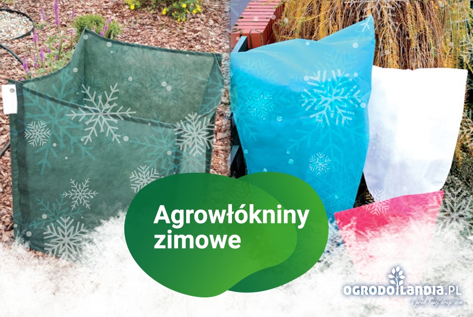 Zastosowanie agrowłóknin zimowych w ogrodzie
