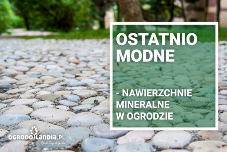Nawierzchnie mineralne w ogrodzie