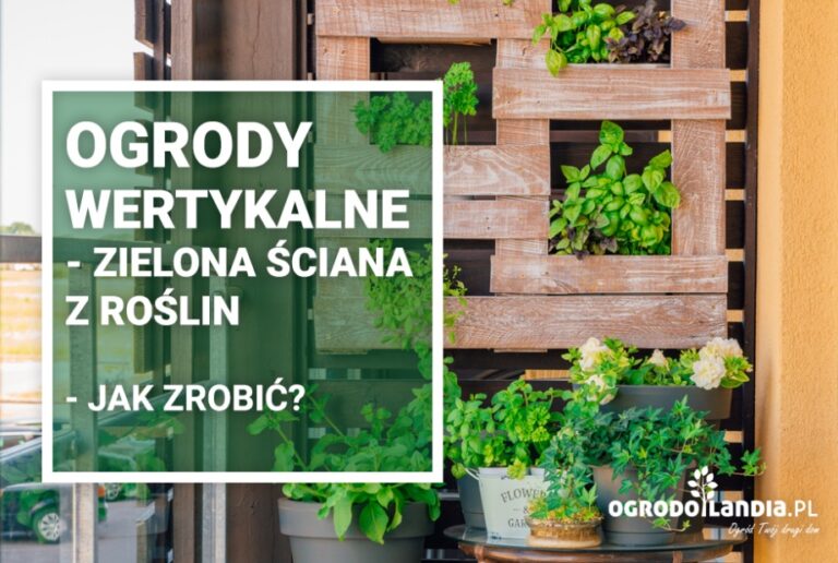 Ogród wertykalny – skąd pomysł?