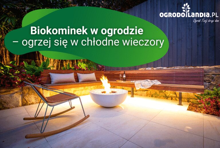 Czym jest biokominek?