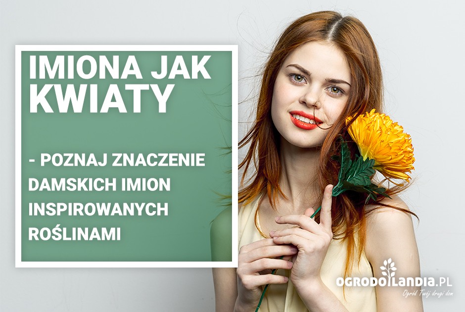 Imiona jak kwiaty - poznaj znaczenie damskich imion inspirowanych roślinami