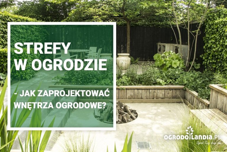 Strefy w ogrodzie – dlaczego warto ?