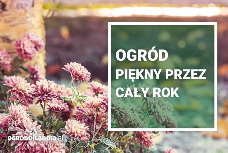Ogród piękny przez cały rok