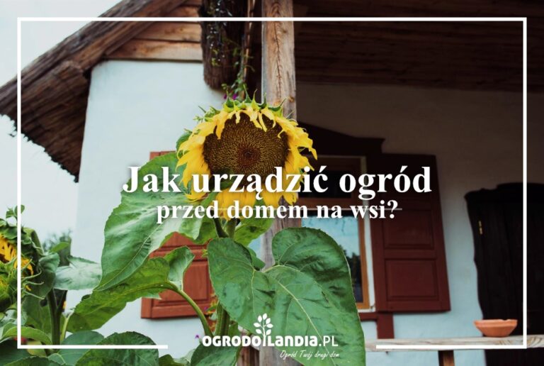 Aranżacja ogrodu przed domem na wsi – jaki powinien być?