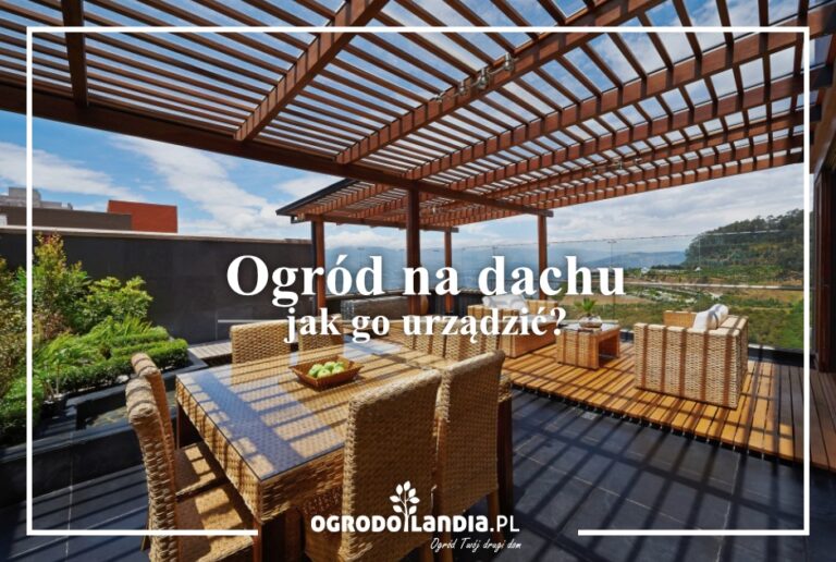 Ogród na dachu – niedoceniany potencjał