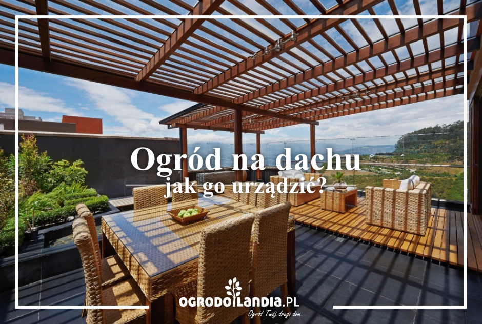 Ogród na dachu - jak go urządzić?