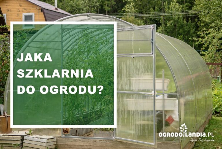 Jaka szklarnia do ogrodu?