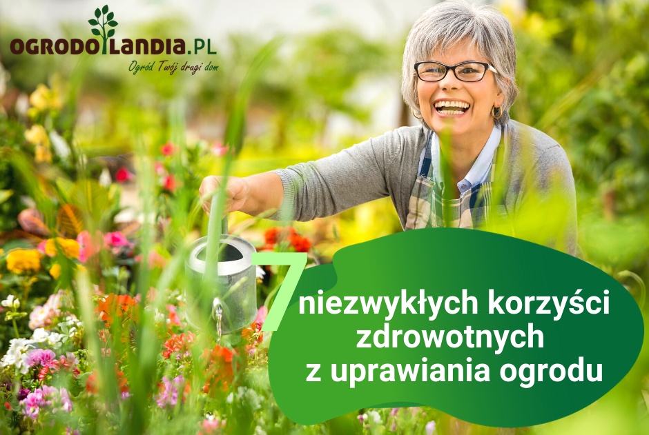 7 niezwykłych korzyści zdrowotnych z uprawiania ogrodu