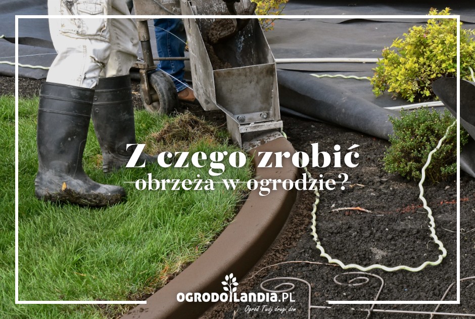 Z czego zrobić obrzeża w ogrodzie?