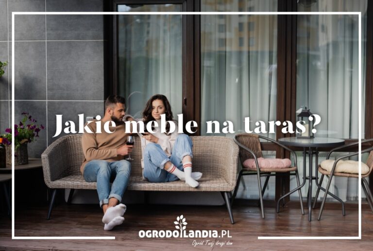 Jakie meble na taras?