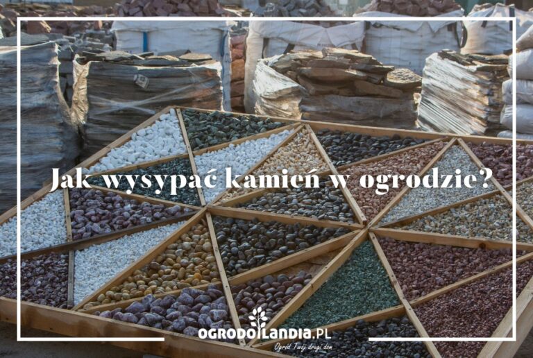Jak wysypać kamień w ogrodzie? Kamień ozdobny w ogrodzie