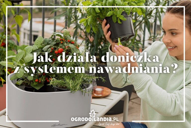 Doniczki samonawadniające