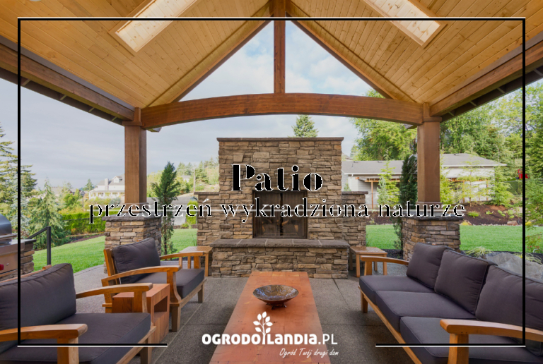 Patio – dziedziniec pełen słońca