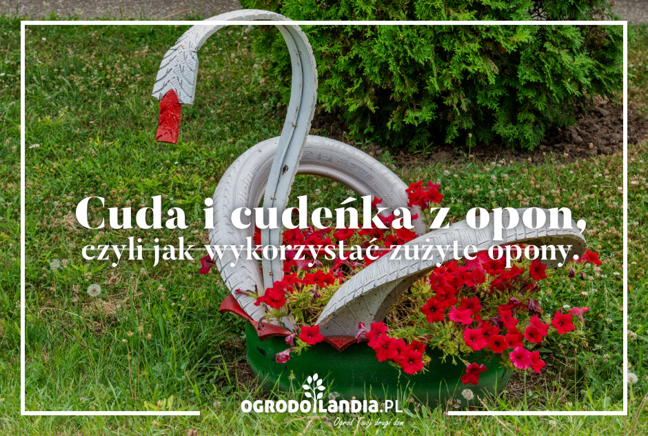 Cuda i cudeńka z opon, czyli jak wykorzystać zużyte opony.