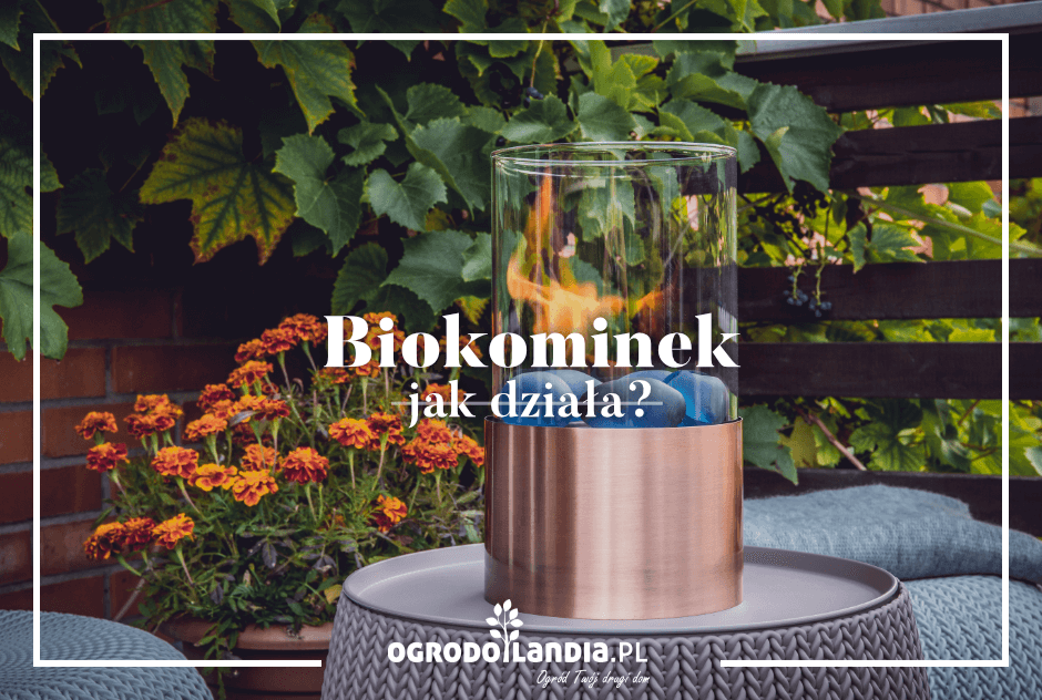 Biokominek – jak działa?