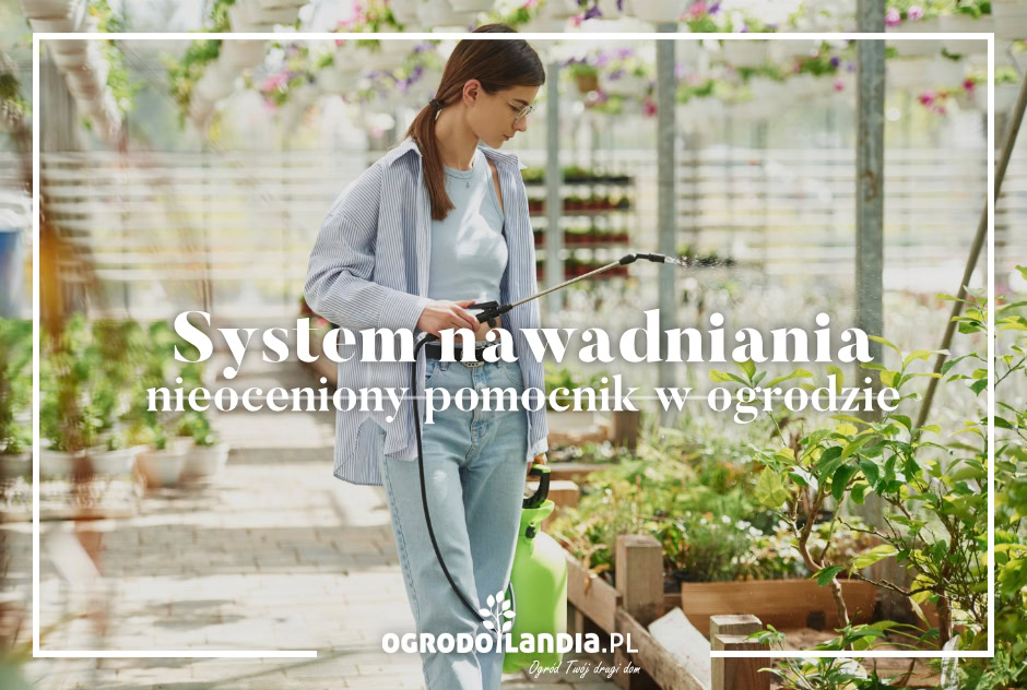 System nawadniania - nieoceniony pomocnik w ogrodzie