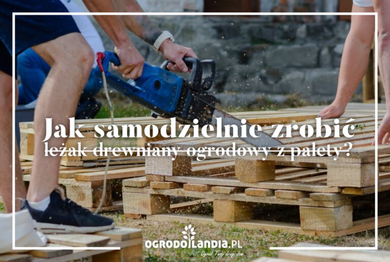 Jak samodzielnie zrobić leżak drewniany ogrodowy z palety?