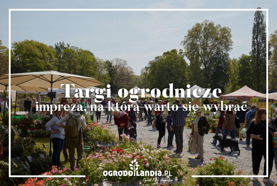 Targi ogrodnicze - impreza, na którą warto się wybrać