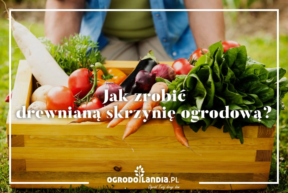 Jak zrobić drewnianą skrzynię ogrodową?