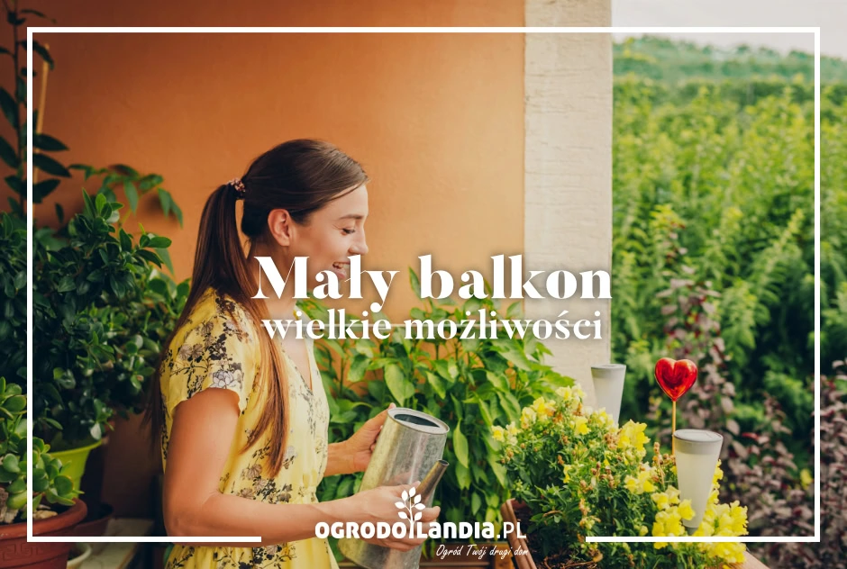 Mały balkon, wielkie możliwości - kilka pomysłów na stylową aranżację