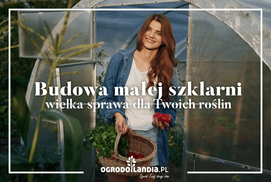 Budowa małej szklarni – wielka sprawa dla Twoich roślin