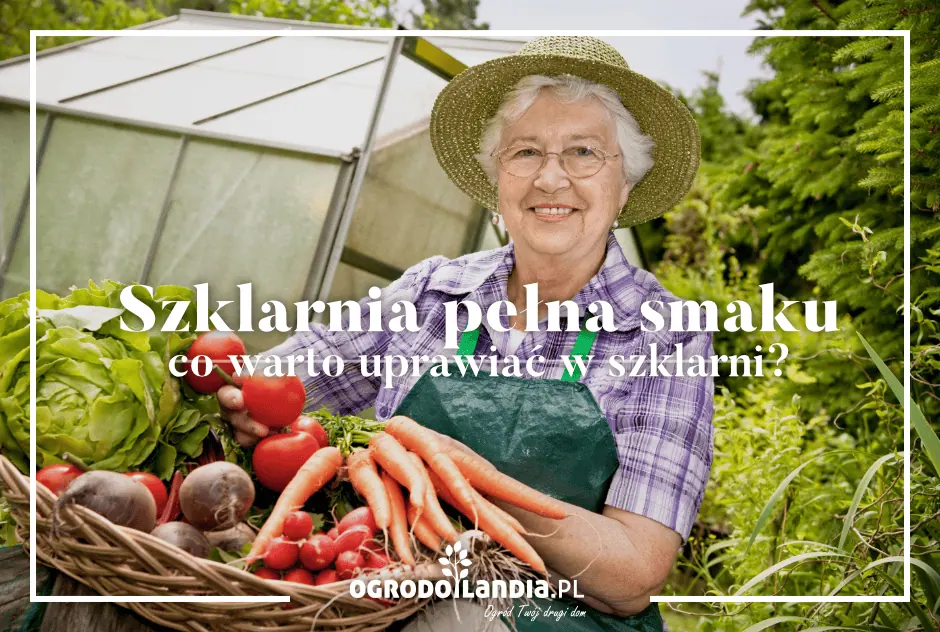 Szklarnia pełna smaku – co warto uprawiać w szklarni?