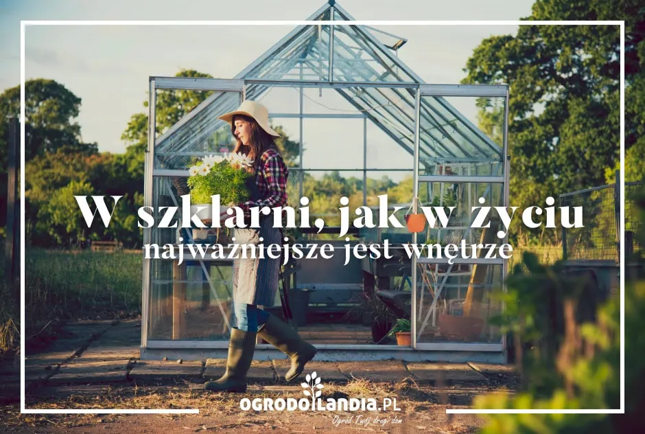W szklarni, jak w życiu - najważniejsze jest wnętrze