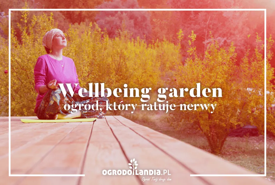 Wellbeing garden – ogród, który ratuje nerwy