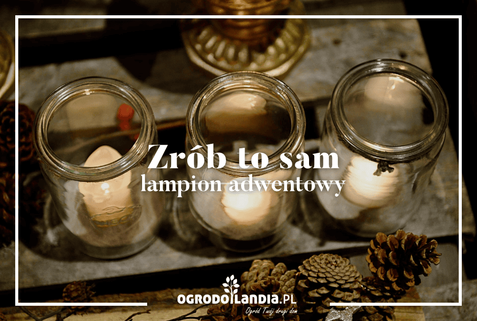 Zrób to sam: lampion adwentowy