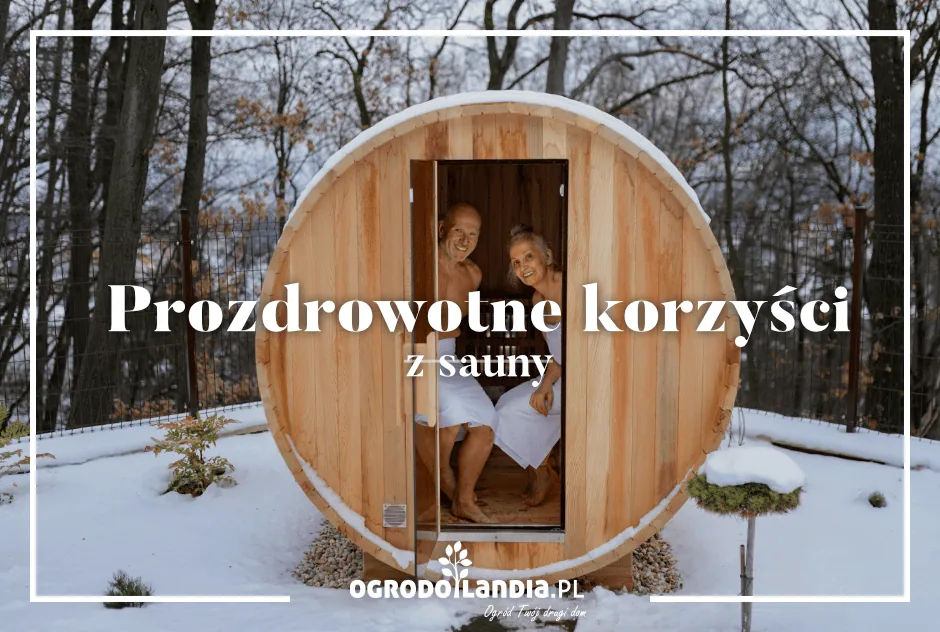 Prozdrowotne korzyści sauny