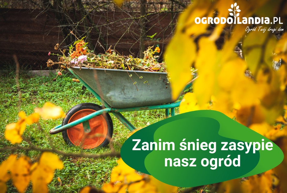 Zanim śnieg zasypie nasz ogród