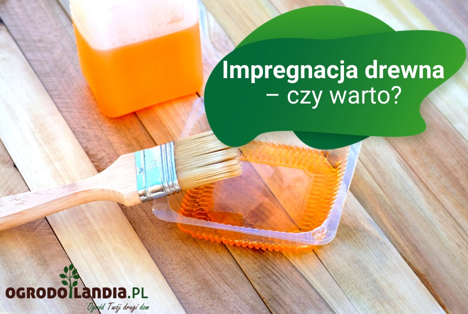 Impregnacja drewna – czy warto?