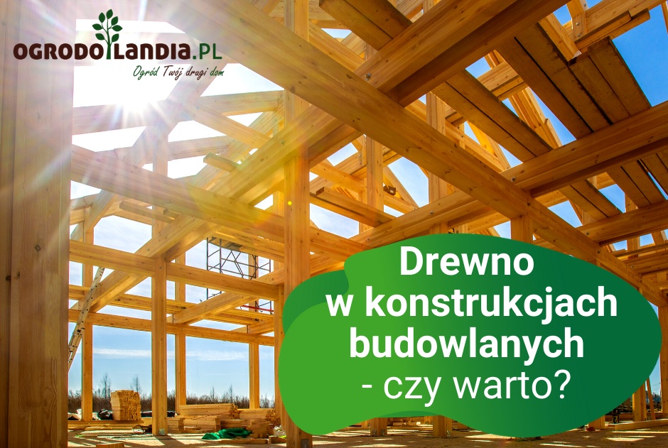 Drewno w konstrukcjach budowlanych - czy warto?