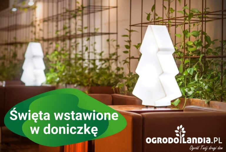 Tradycja wkracza do ogrodów